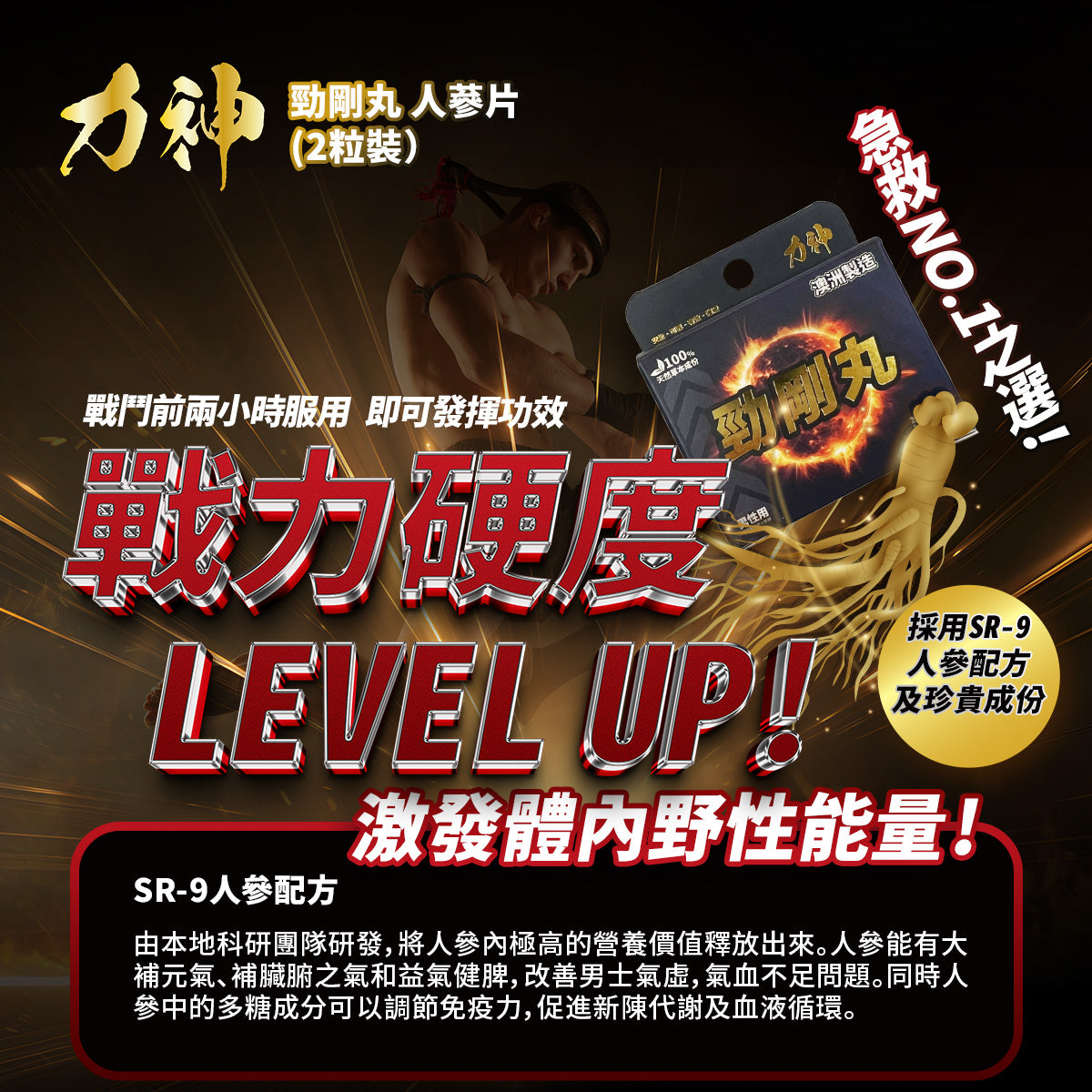 力神 - 力神 (1盒裝) 勁剛丸 SR-9人參配方 男人必備 情趣慾望 提高能量 男性健康調理 健康補品 偉哥 動力丸 威而鋼相近功效 情人節 ACC-HMS