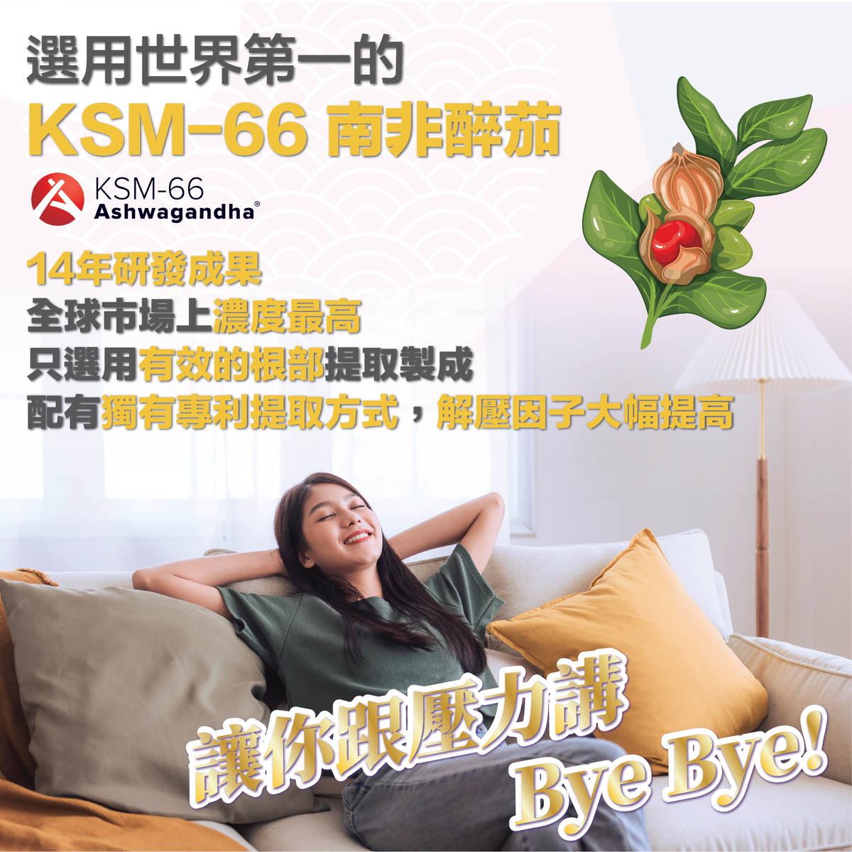 川御 - 壓力の御守(60粒裝)保健品|補充品|健康食品|營養補充劑|膳食補充劑|南非醉茄|舒緩壓力|放鬆|睡眠改善|印度人參|醉茄內酯|草本營養品