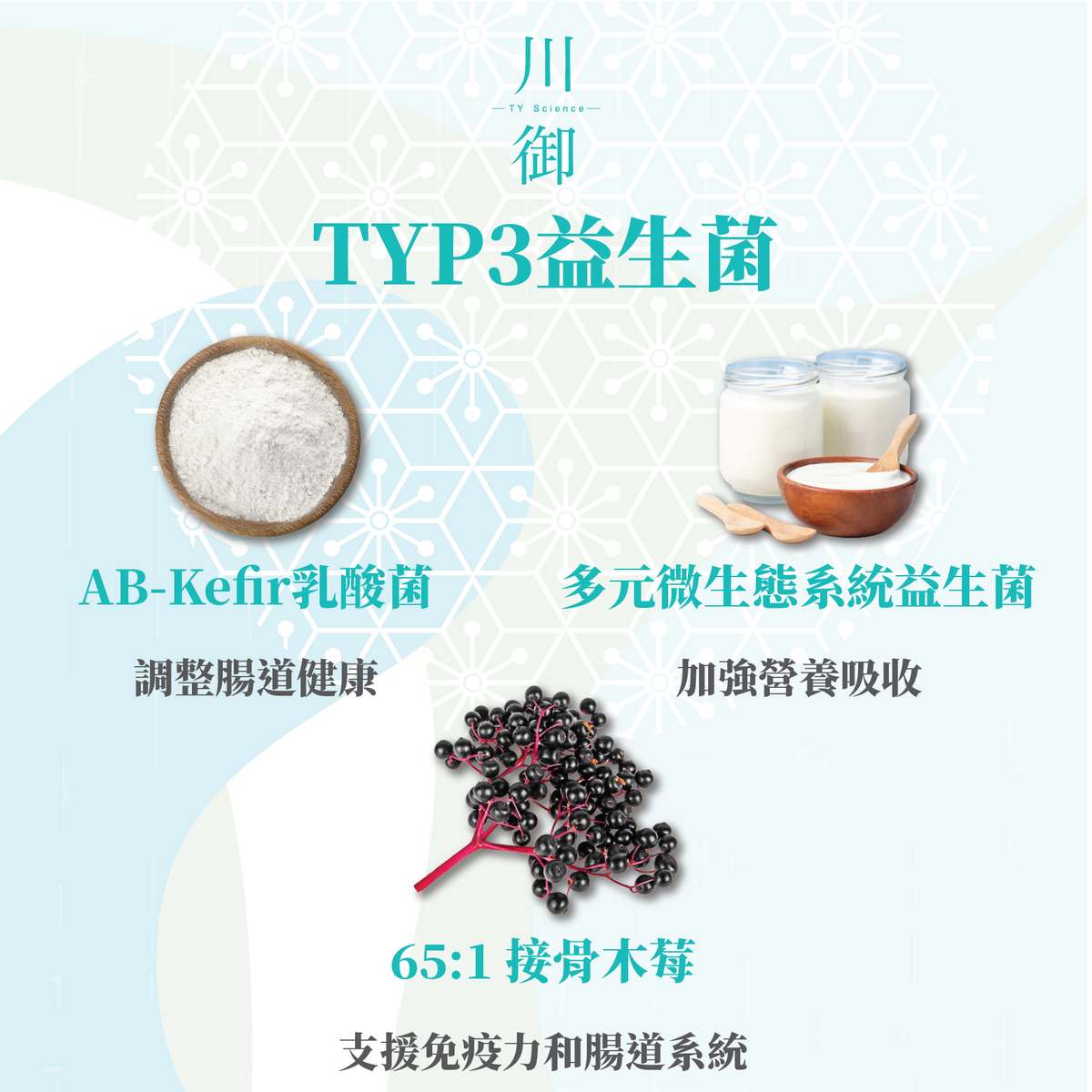 川御 - TY Science TYP3 益生菌 (28包裝/1盒)|益生元|改善腸道健康