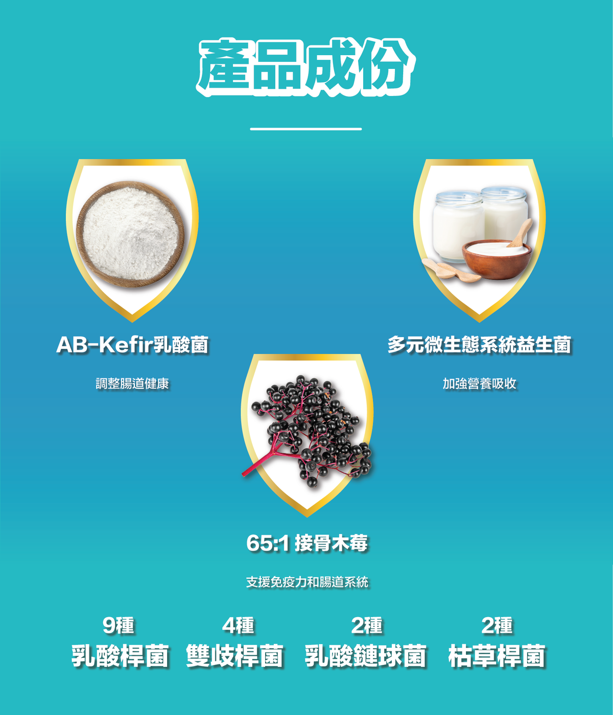 川御 - TY Science TYP3 益生菌 (28包裝/1盒)|益生元|改善腸道健康