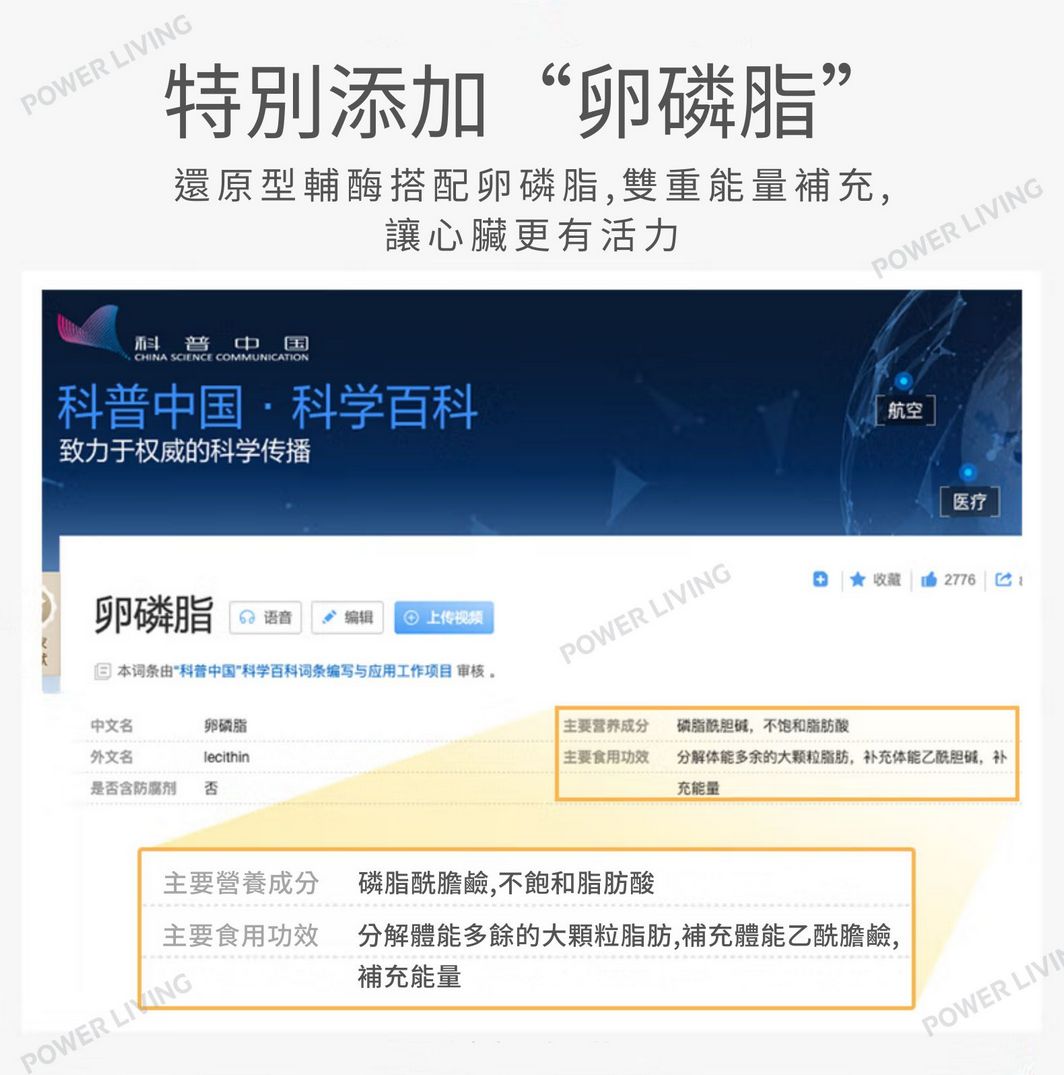 明治藥品 - 保護心臟氧化型輔酶 Q10(60粒裝)|護心保健品|能量補健品|補充輔酶|抗氧化|心臟|營養補充品|營養補充劑|健康食品|補健品|補品|營養