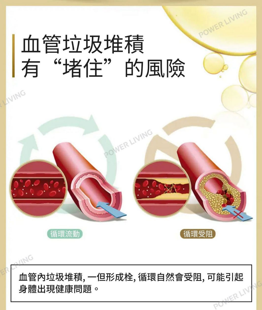 明治藥品- GABA 納豆激酶膠囊 5000FU(120粒裝)|暢通血管|改善血管堵塞|血管健康|營養|營養補充品|營養補充劑|健康食品