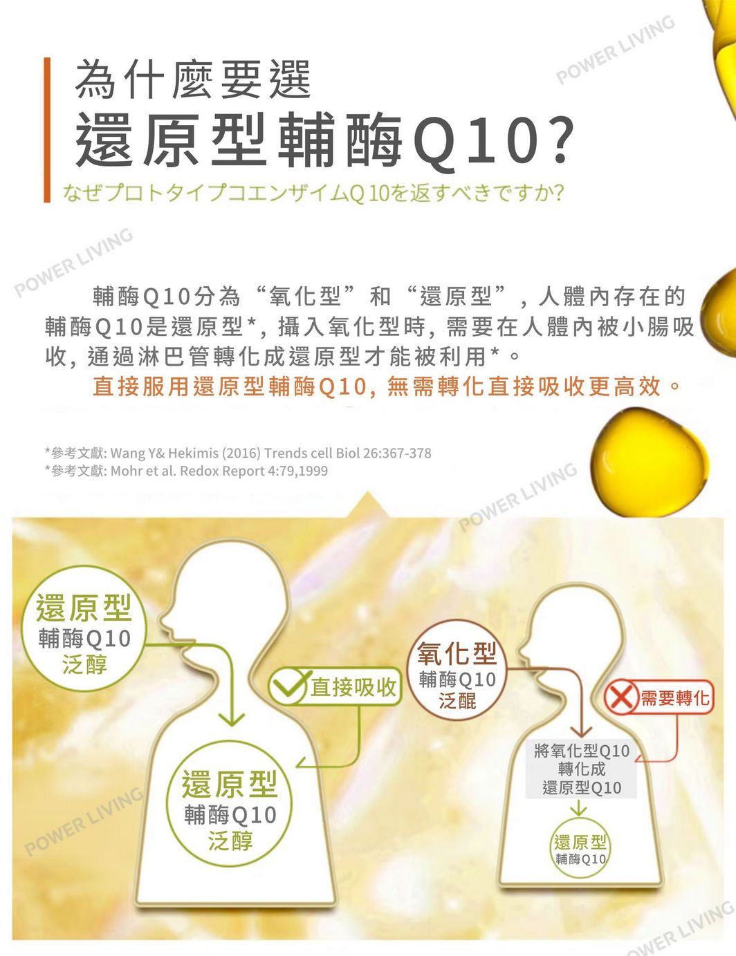 明治藥品 - 保護心臟氧化型輔酶 Q10(60粒裝)|護心保健品|能量補健品|補充輔酶|抗氧化|心臟|營養補充品|營養補充劑|健康食品|補健品|補品|營養
