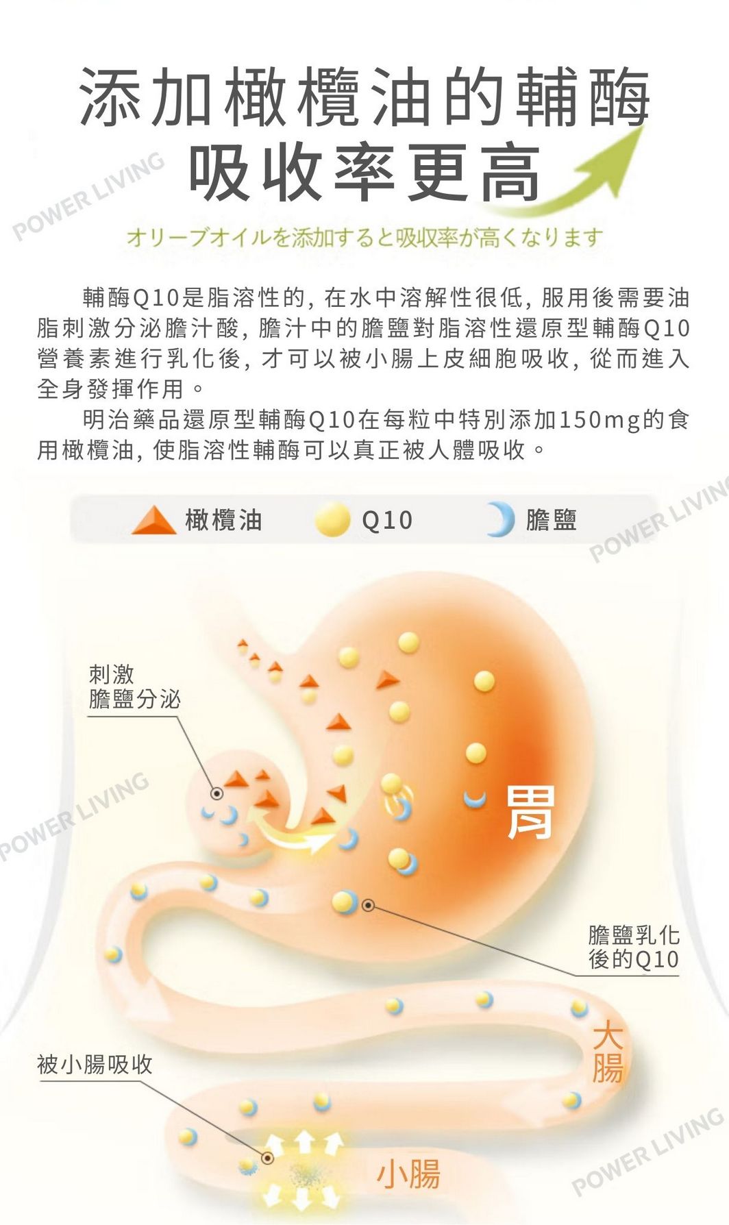 明治藥品 - 保護心臟氧化型輔酶 Q10(60粒裝)|護心保健品|能量補健品|補充輔酶|抗氧化|心臟|營養補充品|營養補充劑|健康食品|補健品|補品|營養