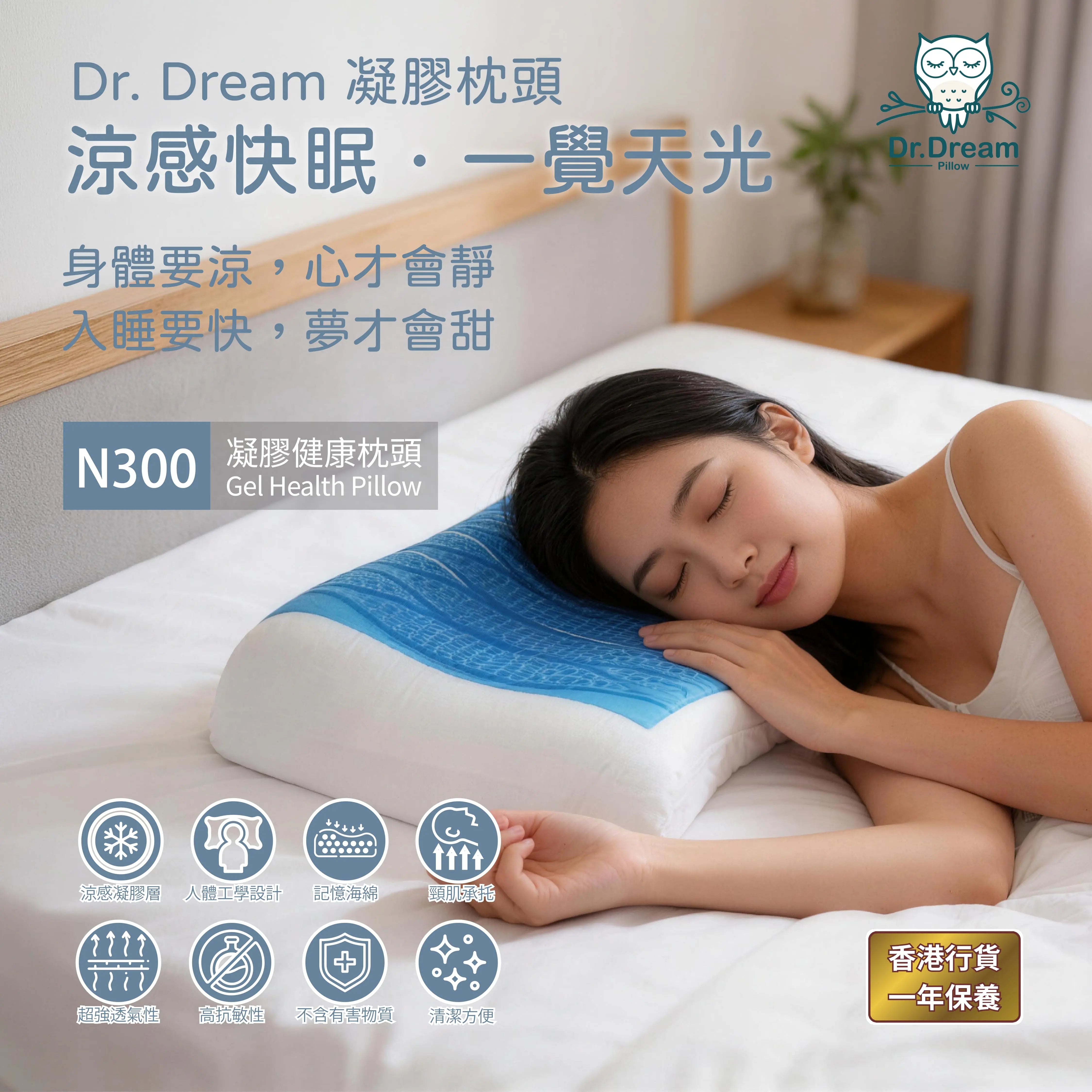Dr.Dream 成人護頸健康凝膠枕頭 N300