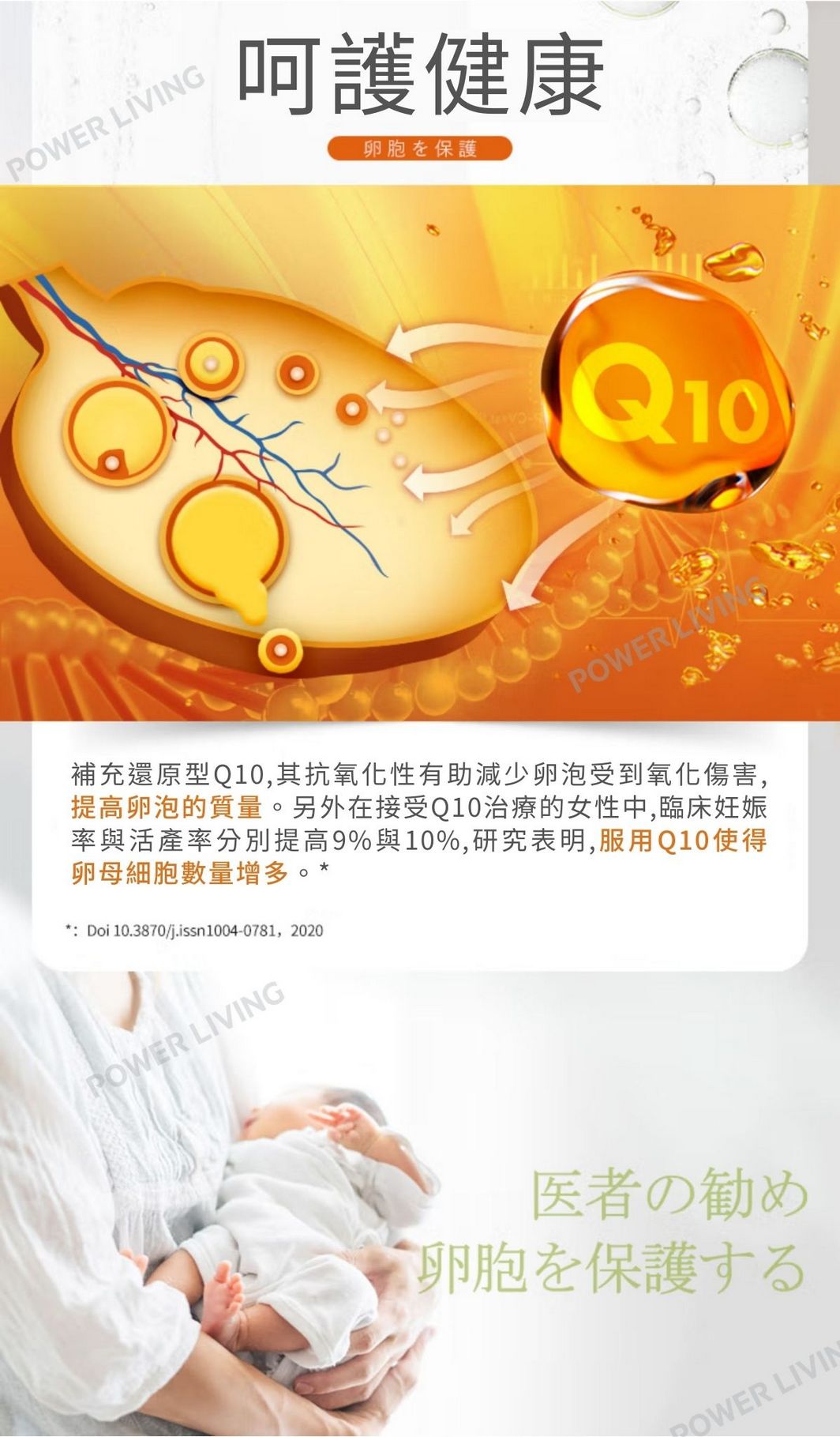 明治藥品 - 保護心臟氧化型輔酶 Q10（60粒裝）｜護心保健品｜能量補健品｜補充輔酶｜抗氧化｜心臟｜營養補充品｜營養補充劑｜健康食品｜補健品｜補品｜營養