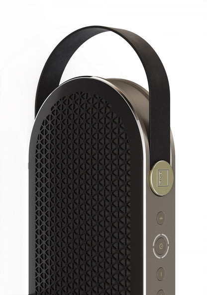 Dali - Katch G2 Bluetooth Speaker Black Iron Support AptXHD (24bit/48kHz) WhatHiFi 5-star rating Playback 30 hours