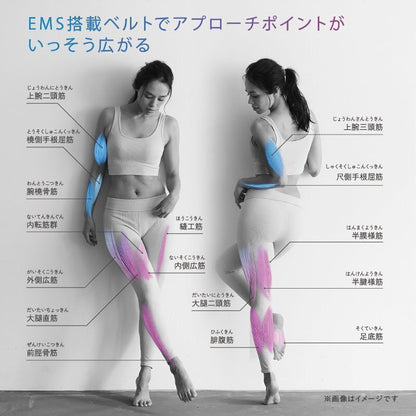 Lourdes - AX-FRL909 EMS Multi-function Microcurrent Muscle Shaping Pad [Hong Kong Licensed Product]