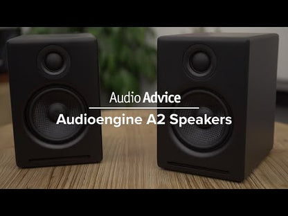 audioengine - [Hong Kong licensed product] A2+ Wireless Bluetooth active speaker (black) 