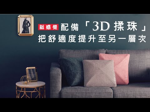 Lourdes - 【香港行貨】3D按摩靠墊 AX-HCL310 (深灰色)