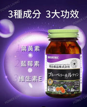 明治藥品 - 藍莓+葉黃素膠囊 (60粒裝) 提升視力｜明治藥品保健品｜補充品｜MEIJI-4954007015610